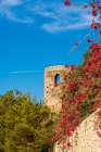 Alcazaba and Castle of Gibralfaro on Mount Malaga above the old town, Malaga, Spain. Art Print